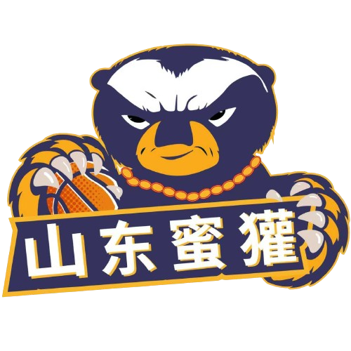 尼斯